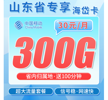 移动鲁岱卡30元300G+100分钟+山东专属！