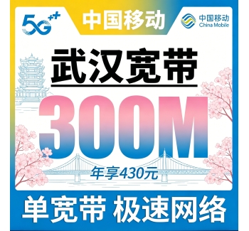 武汉单宽带移动430元年享300bps