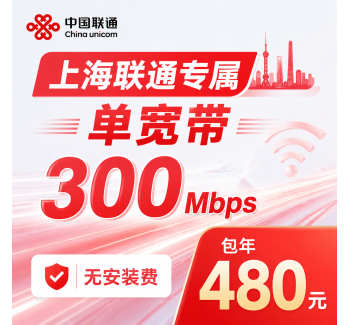 上海市单宽带联通480元年享300Mbps