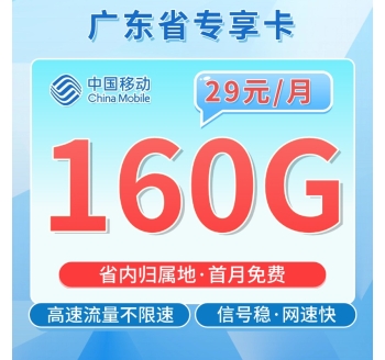 移动广东卡29元160G