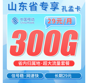 移动孔孟卡29元300G+山东专属！