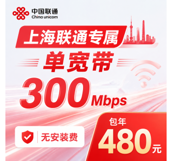 上海市单宽带联通480元年享300Mbps