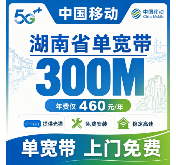 湖南省宽带移动460元年享300Mbps